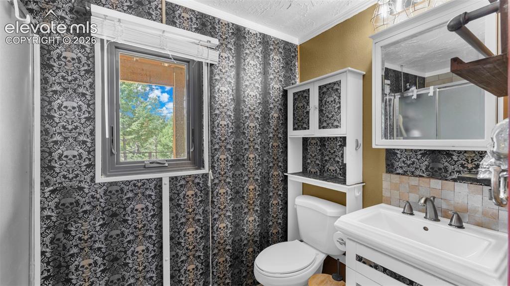82 S Mountain Estates Road Florissant CO 80816