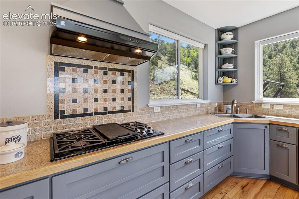 3043 County Road 1 Cripple Creek CO 80813
