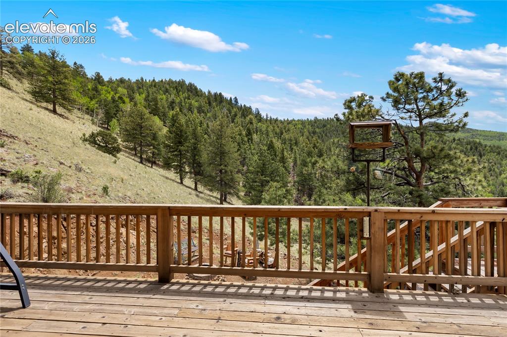 3043 County Road 1 Cripple Creek CO 80813