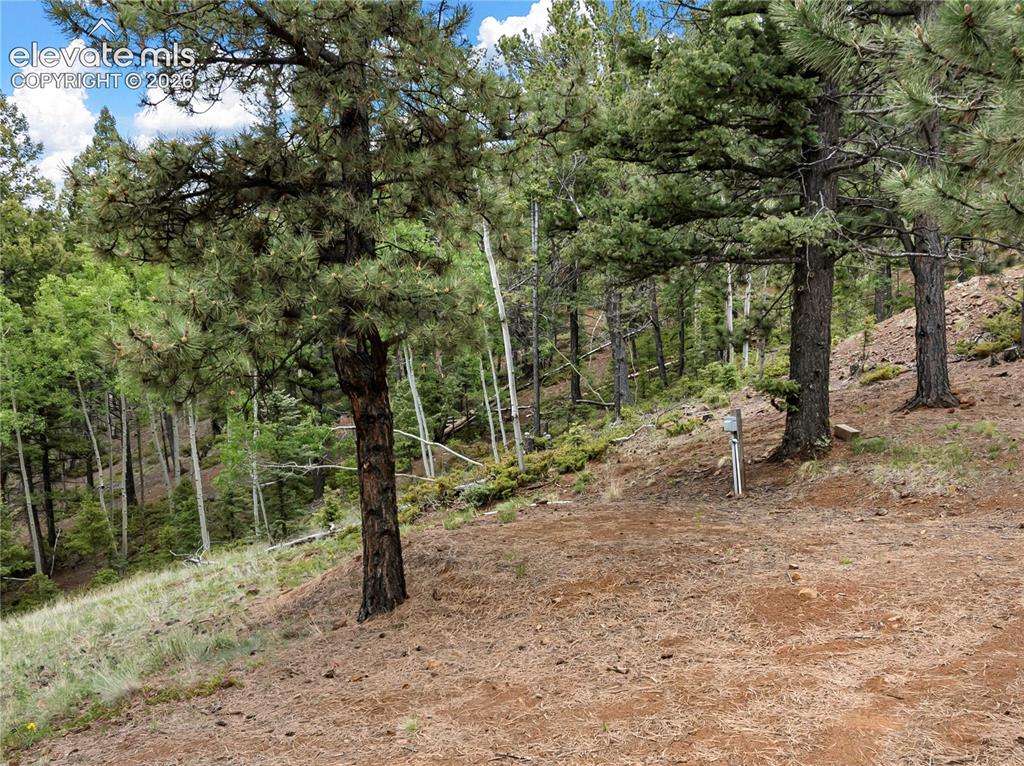 3043 County Road 1 Cripple Creek CO 80813