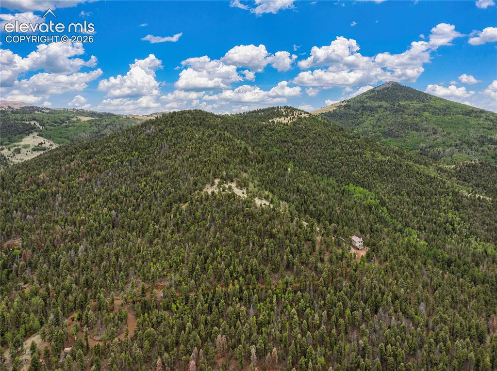 3043 County Road 1 Cripple Creek CO 80813
