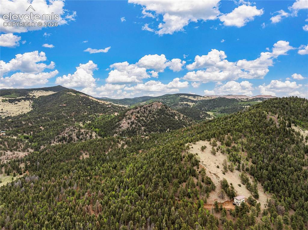 3043 County Road 1 Cripple Creek CO 80813