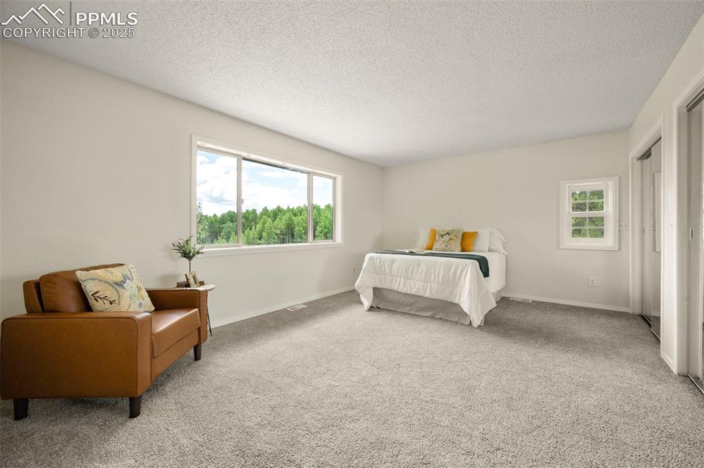 4710 Wildhorn Road Florissant CO 80816