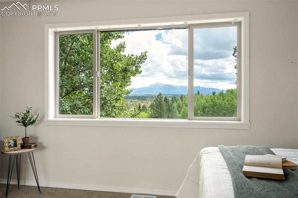 4710 Wildhorn Road Florissant CO 80816