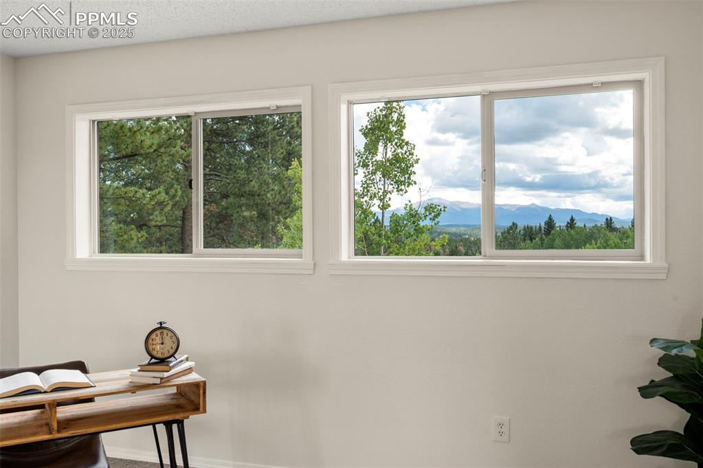 4710 Wildhorn Road Florissant CO 80816