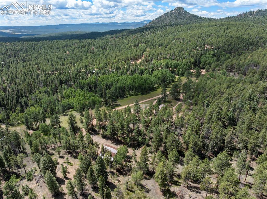 4710 Wildhorn Road Florissant CO 80816