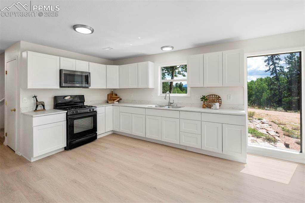 4710 Wildhorn Road Florissant CO 80816
