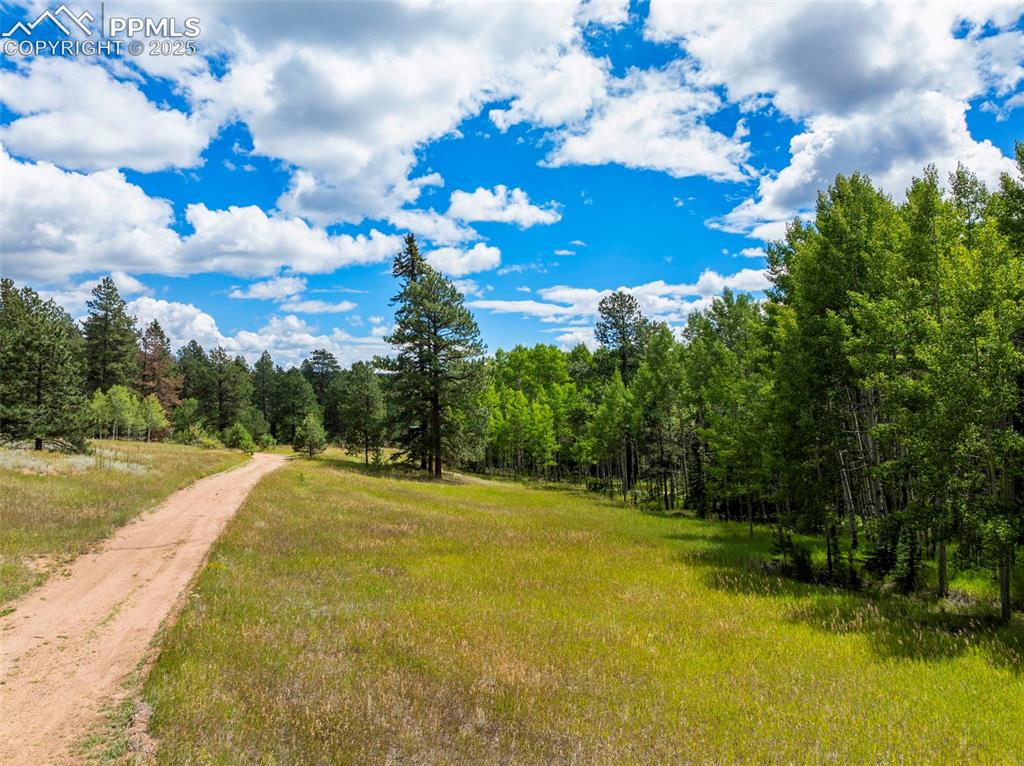 4710 Wildhorn Road Florissant CO 80816