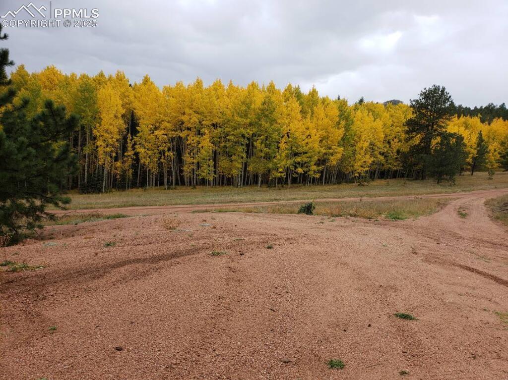 4710 Wildhorn Road Florissant CO 80816