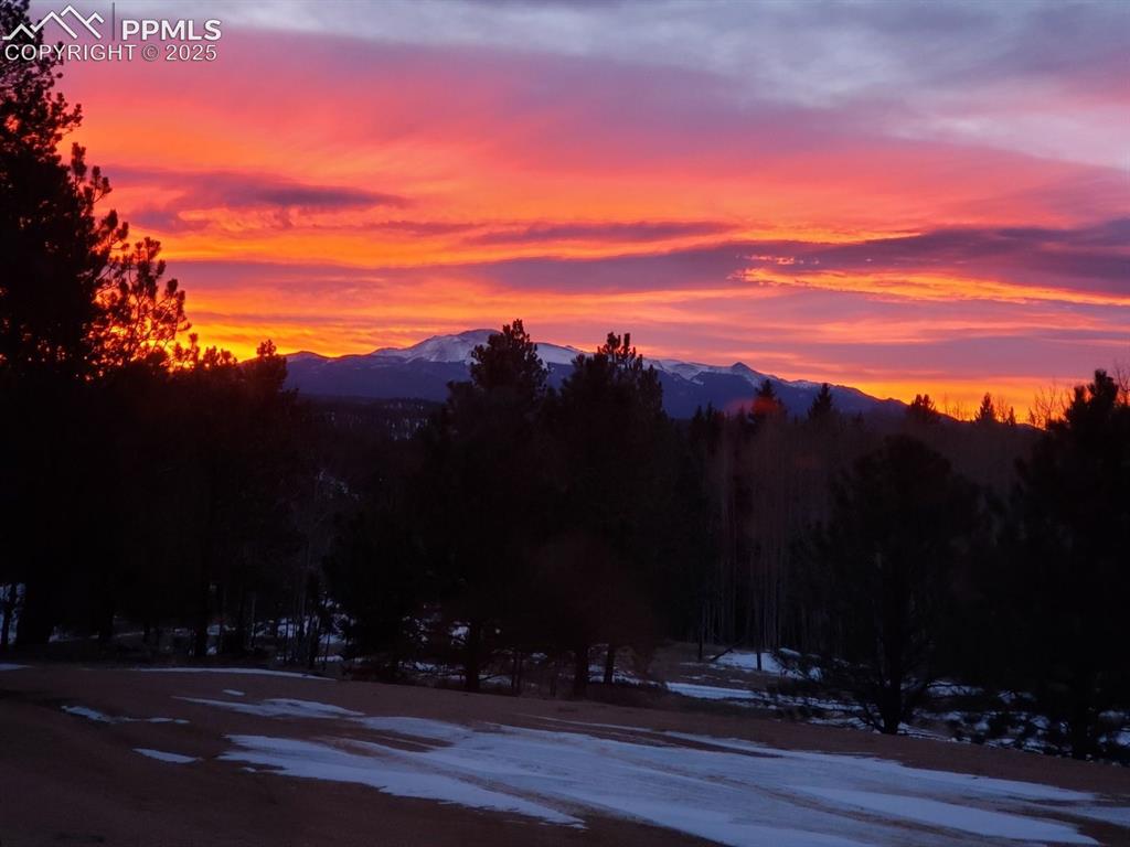 4710 Wildhorn Road Florissant CO 80816