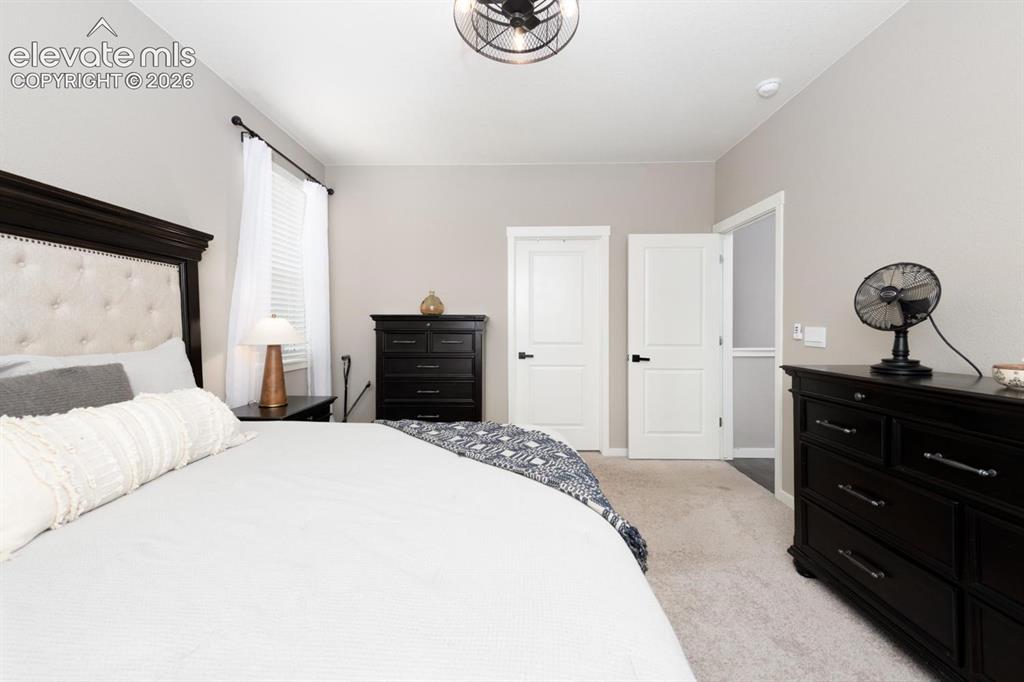16474 Alpine Sorrel Drive Monument CO 80132
