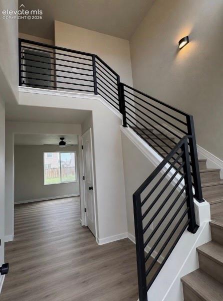 6143 Cast Iron Drive Colorado Springs CO 80925