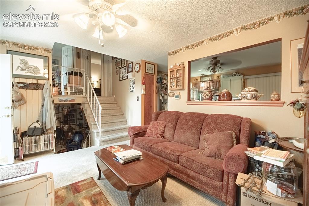 4822 Bailey Place Colorado Springs CO 80916