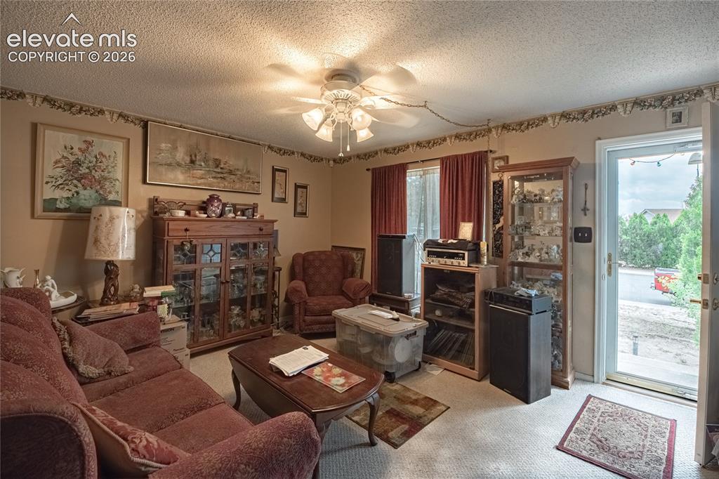 4822 Bailey Place Colorado Springs CO 80916