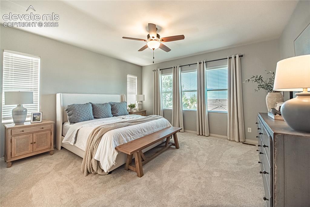 2613 Crooked Vine Court Colorado Springs CO 80921