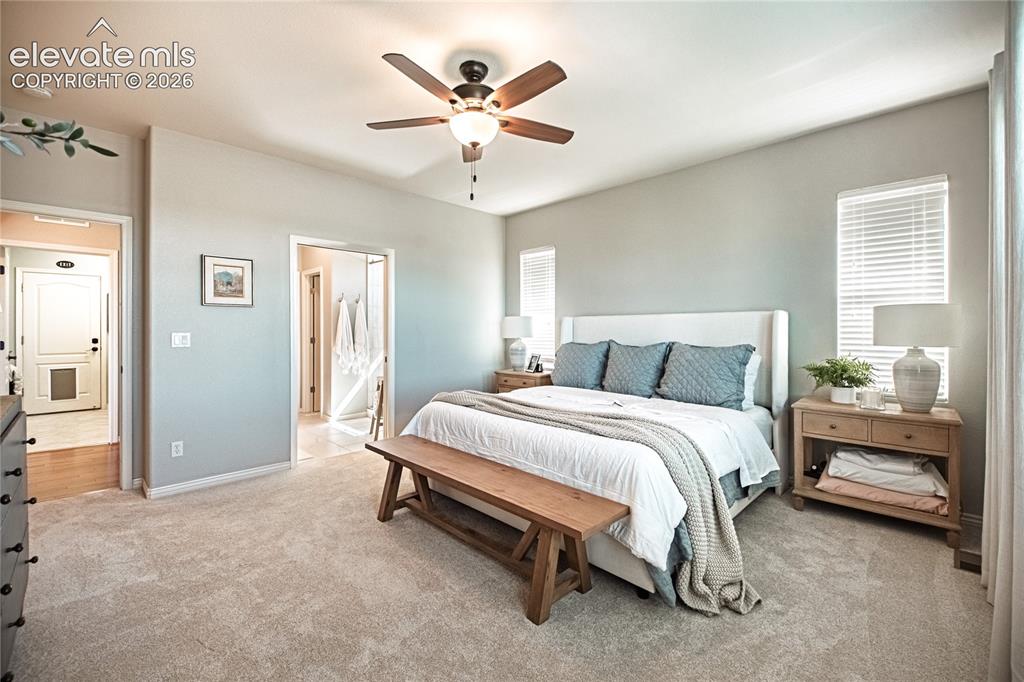 2613 Crooked Vine Court Colorado Springs CO 80921
