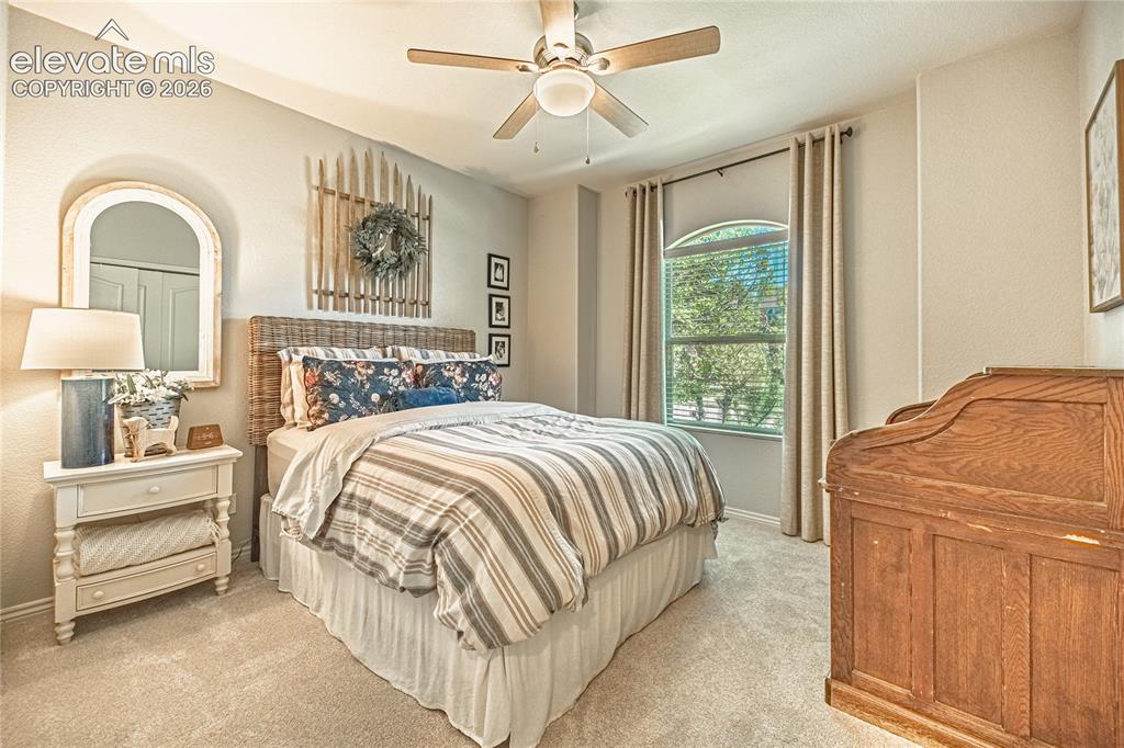 2613 Crooked Vine Court Colorado Springs CO 80921