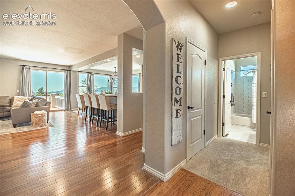 2613 Crooked Vine Court Colorado Springs CO 80921