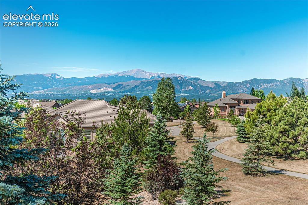 2613 Crooked Vine Court Colorado Springs CO 80921