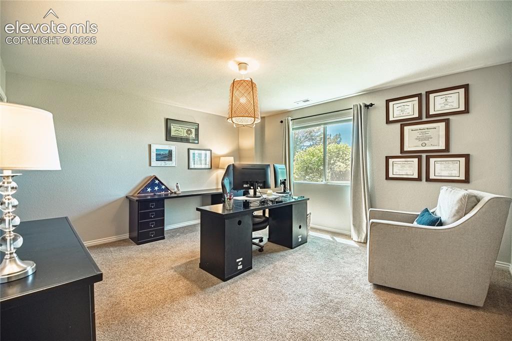 2613 Crooked Vine Court Colorado Springs CO 80921