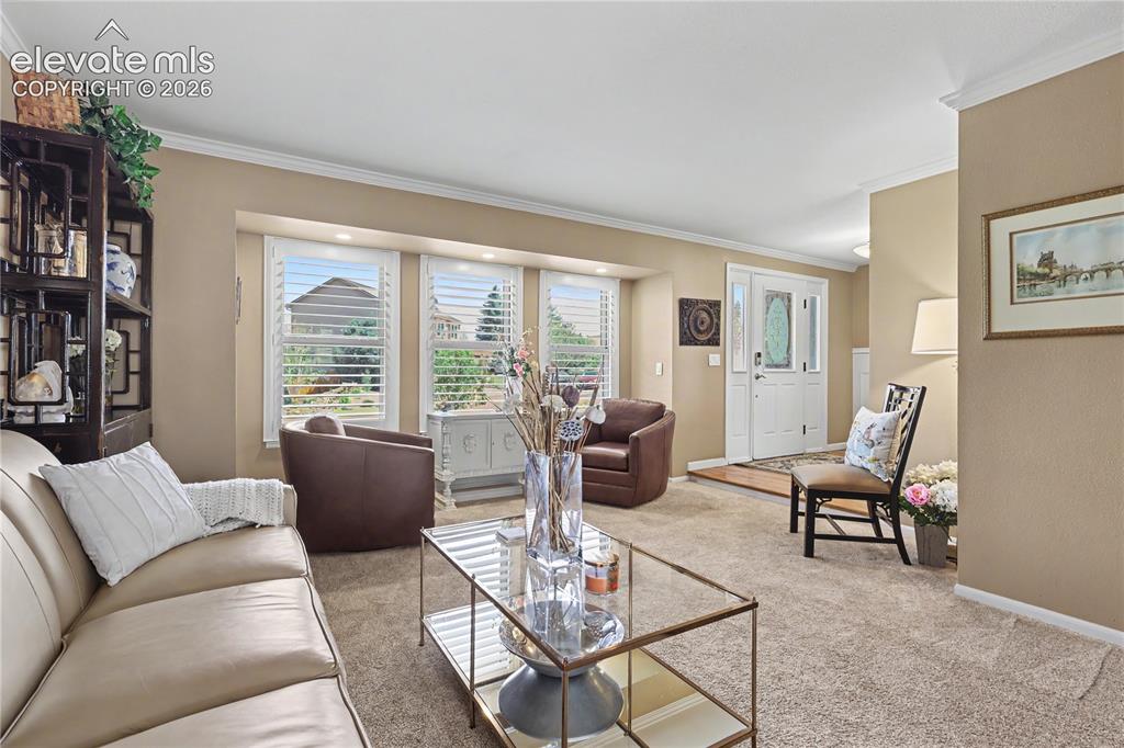 8480 Avens Circle Colorado Springs CO 80920