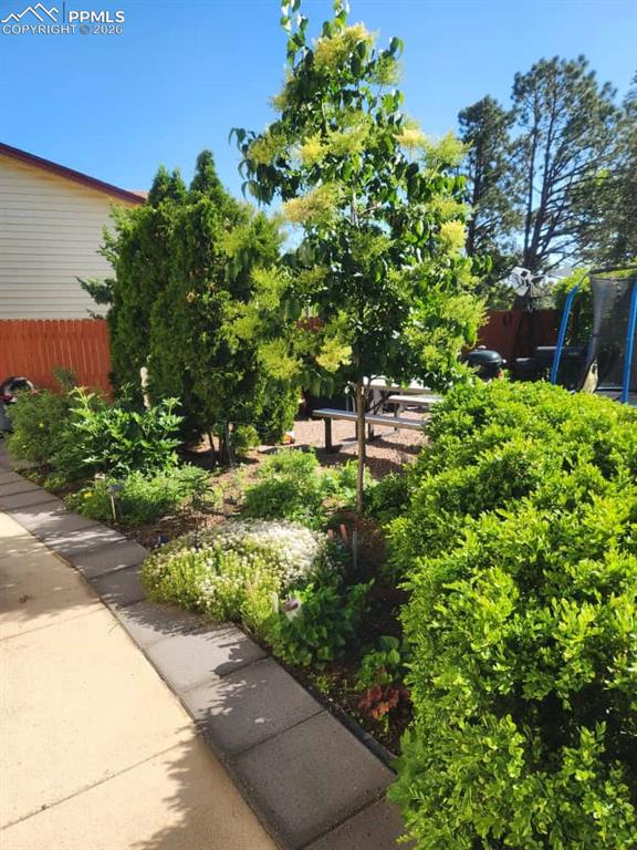 2411 Providence Circle Colorado Springs CO 80909