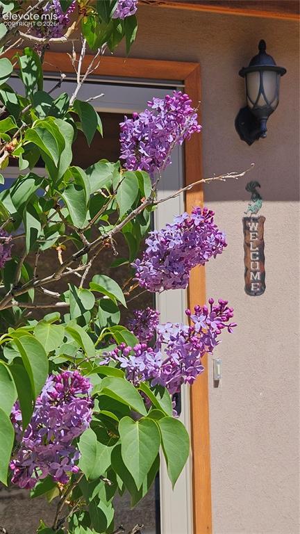 7500 Auckland Avenue Florence CO 81226