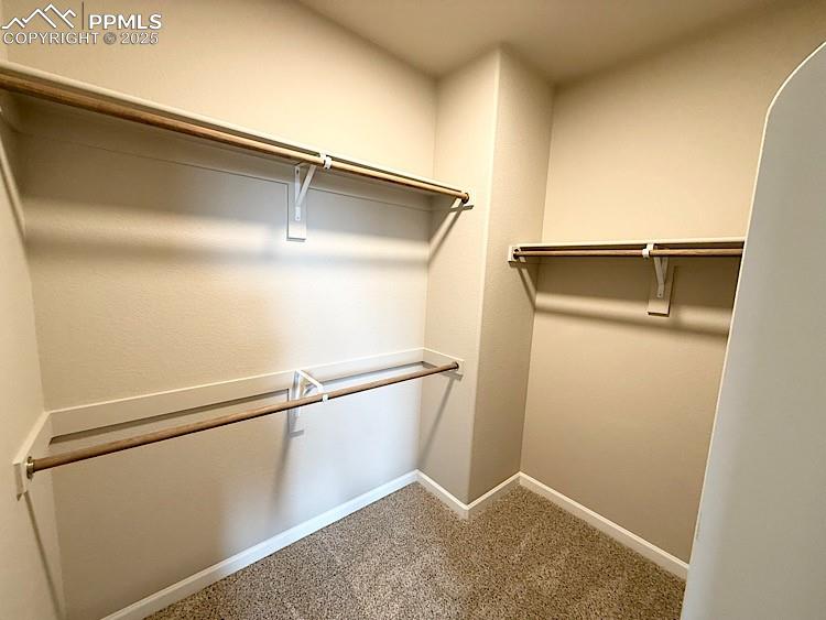 9456 Wolf Valley Drive Colorado Springs CO 80924