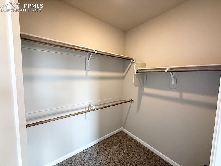 9456 Wolf Valley Drive Colorado Springs CO 80924