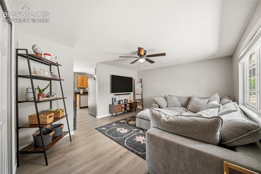 7115 White Mountain Drive Colorado Springs CO 80915
