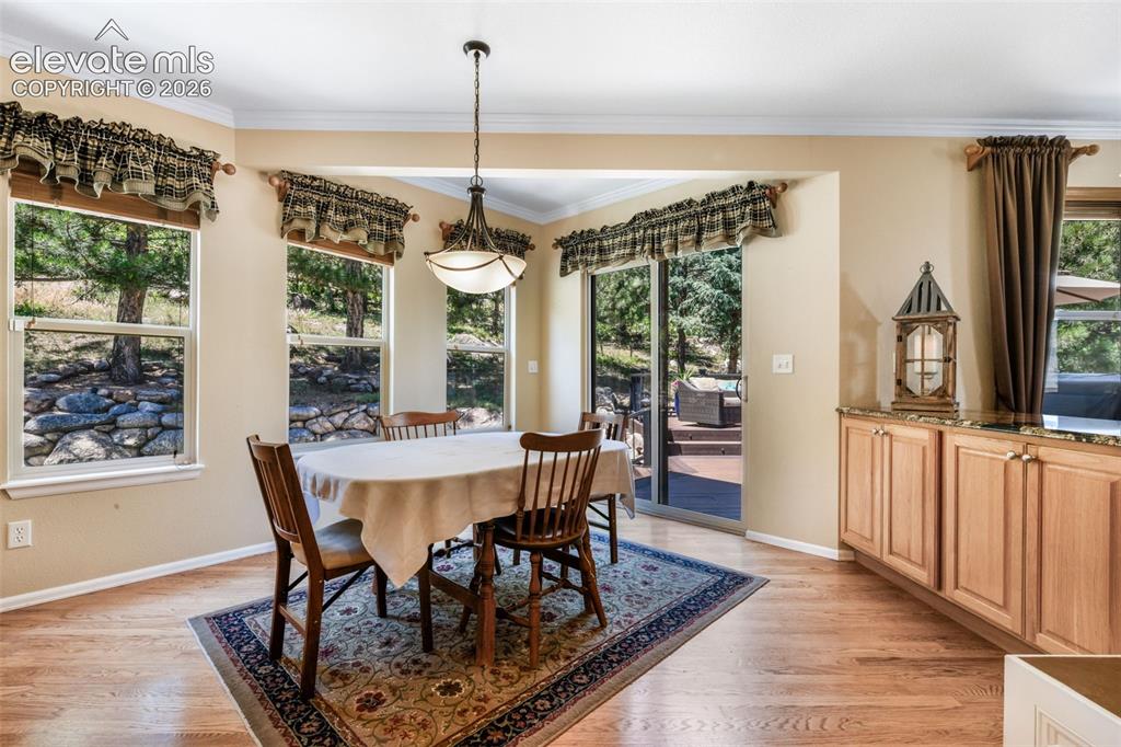 470 Paisley Drive Colorado Springs CO 80906
