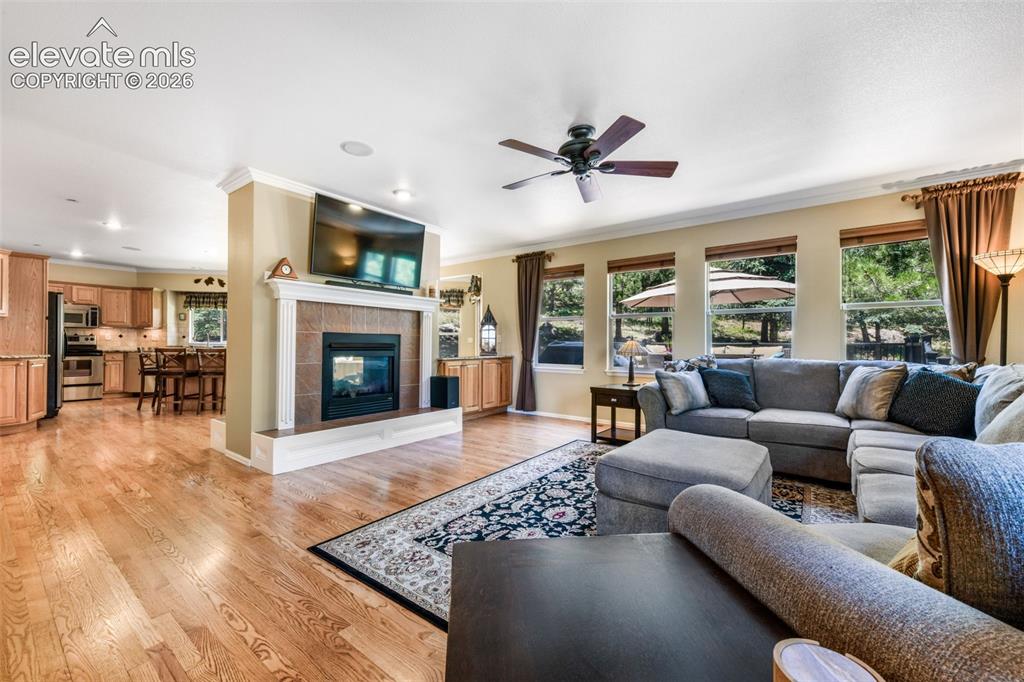 470 Paisley Drive Colorado Springs CO 80906