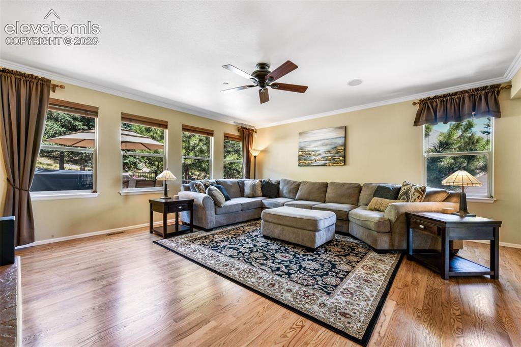 470 Paisley Drive Colorado Springs CO 80906