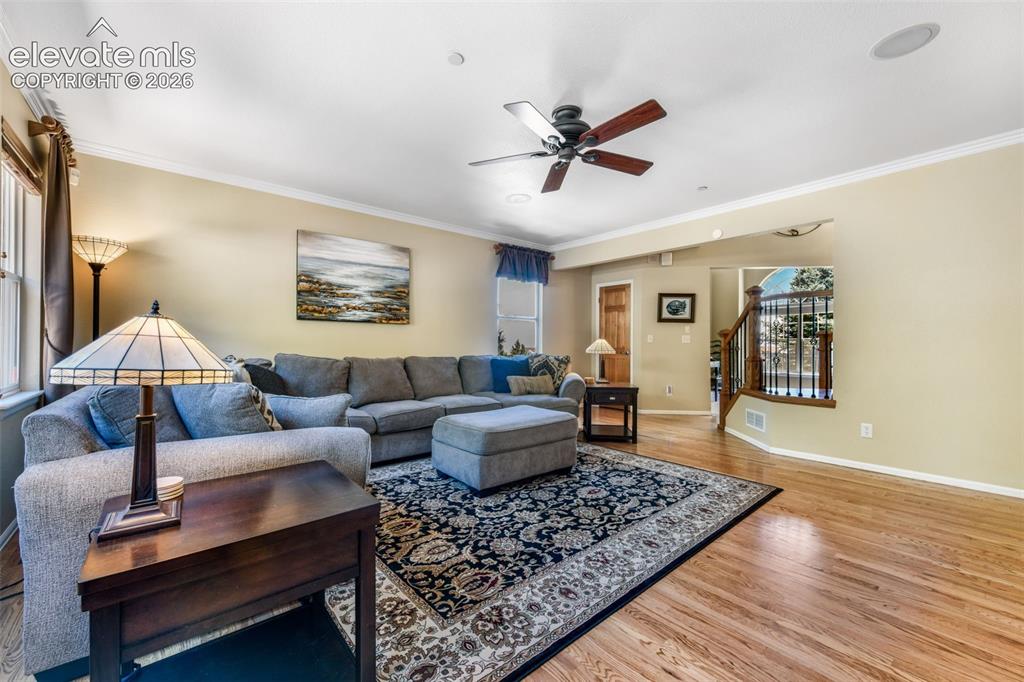 470 Paisley Drive Colorado Springs CO 80906