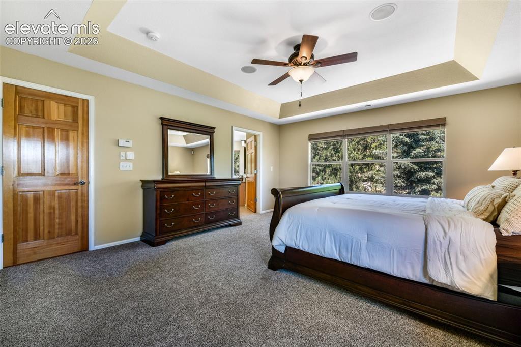 470 Paisley Drive Colorado Springs CO 80906