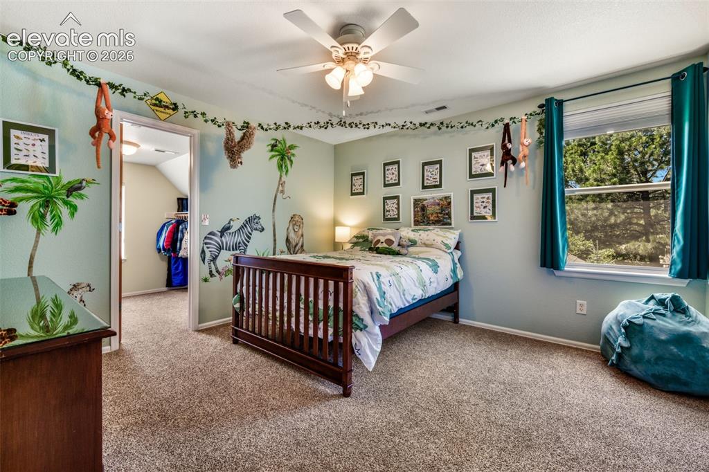 470 Paisley Drive Colorado Springs CO 80906
