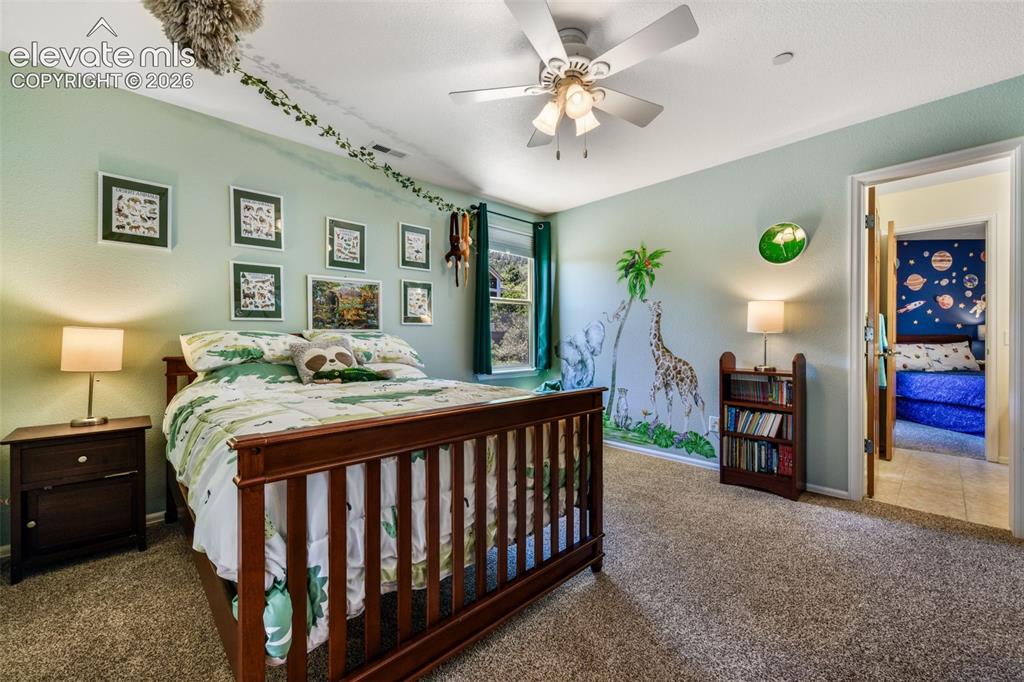 470 Paisley Drive Colorado Springs CO 80906