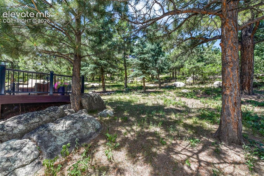 470 Paisley Drive Colorado Springs CO 80906