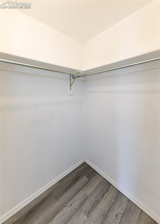 8210 Candon Drive Colorado Springs CO 80920