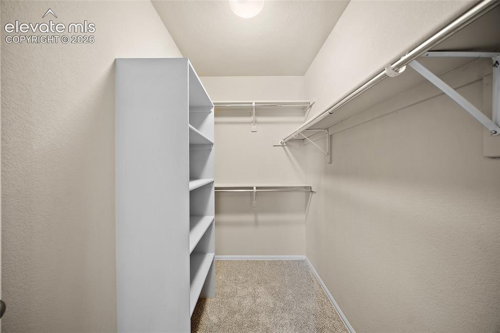 7604 Autumn Knoll Drive Colorado Springs CO 80922