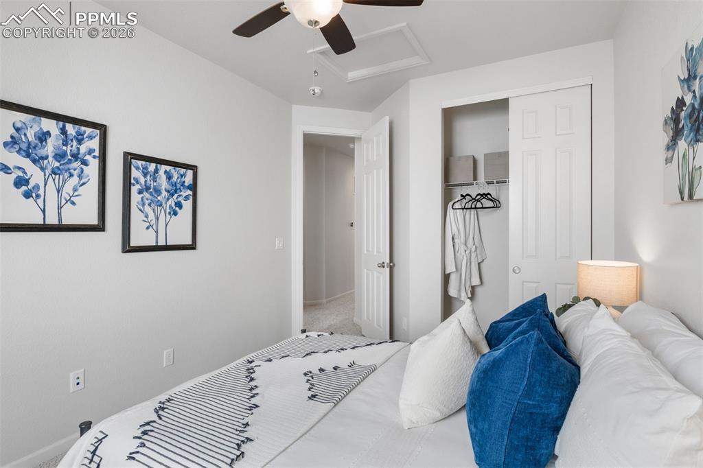 5859 Leon Young Drive Colorado Springs CO 80924