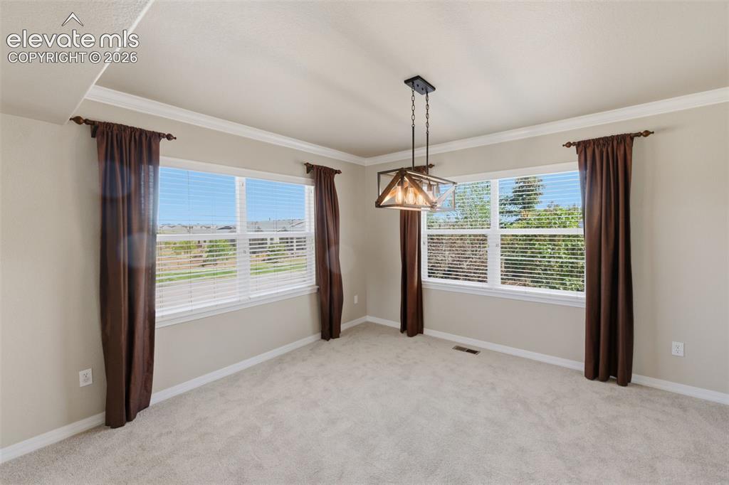 6323 Adamants Drive Colorado Springs CO 80924