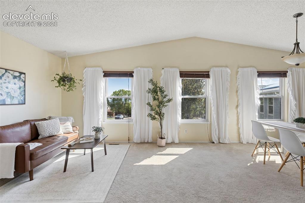 4990 Wood Brook Court Colorado Springs CO 80917
