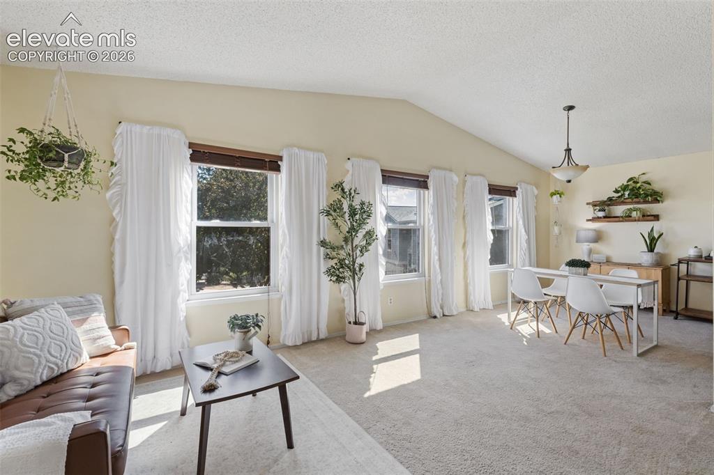 4990 Wood Brook Court Colorado Springs CO 80917