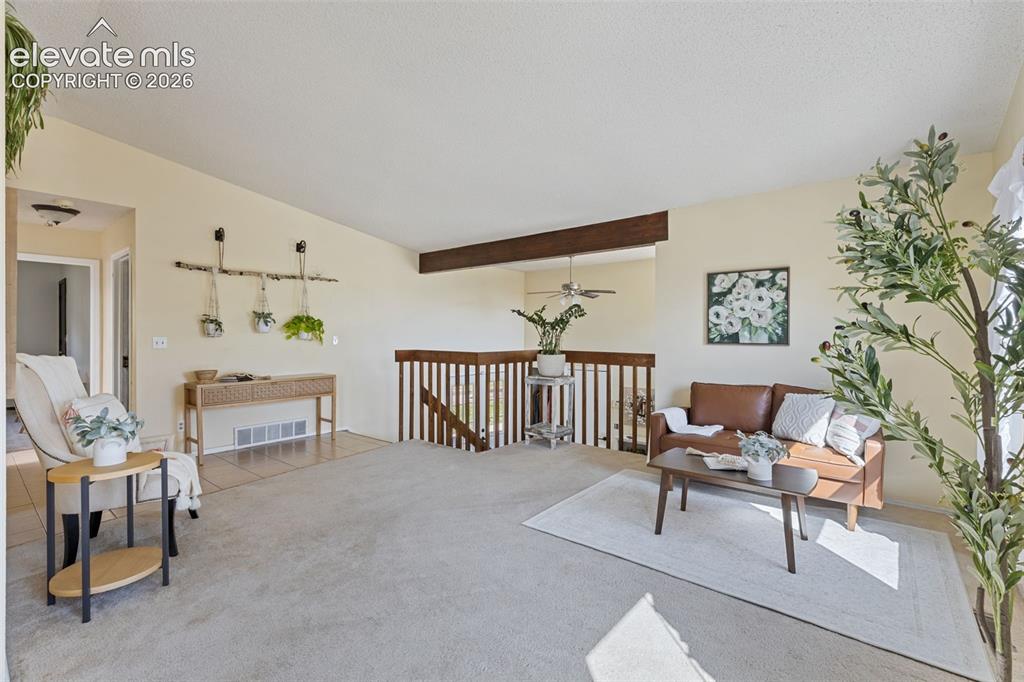 4990 Wood Brook Court Colorado Springs CO 80917