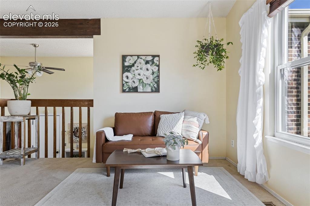 4990 Wood Brook Court Colorado Springs CO 80917
