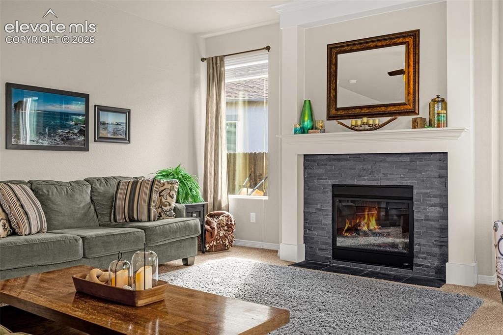 7366 Buffalo Prairie Court Colorado Springs CO 80915