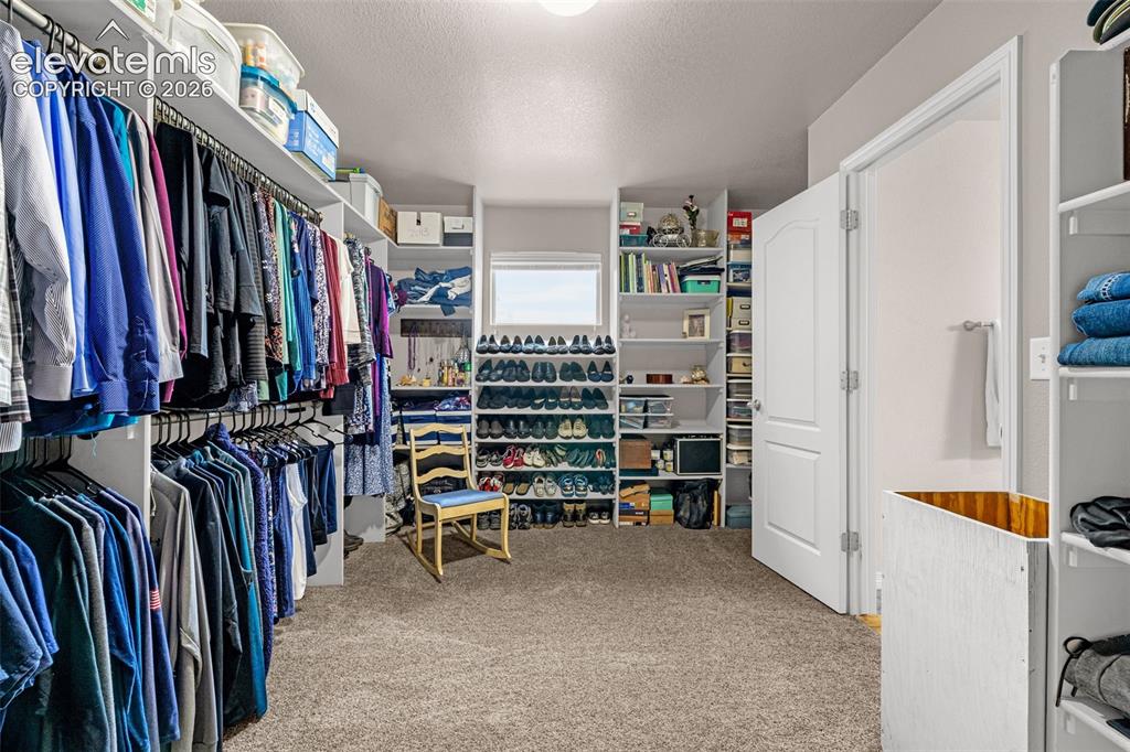 7366 Buffalo Prairie Court Colorado Springs CO 80915