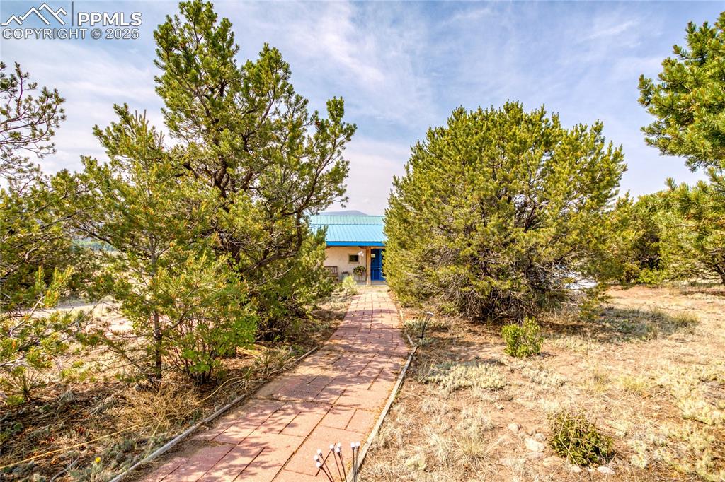 6135 County Road 15 South Fork CO 81154