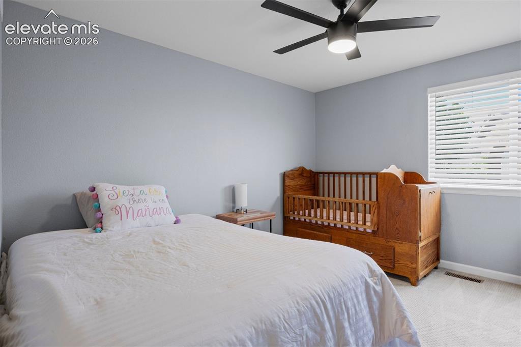 1720 Wild Rye Court Castle Rock CO 80109